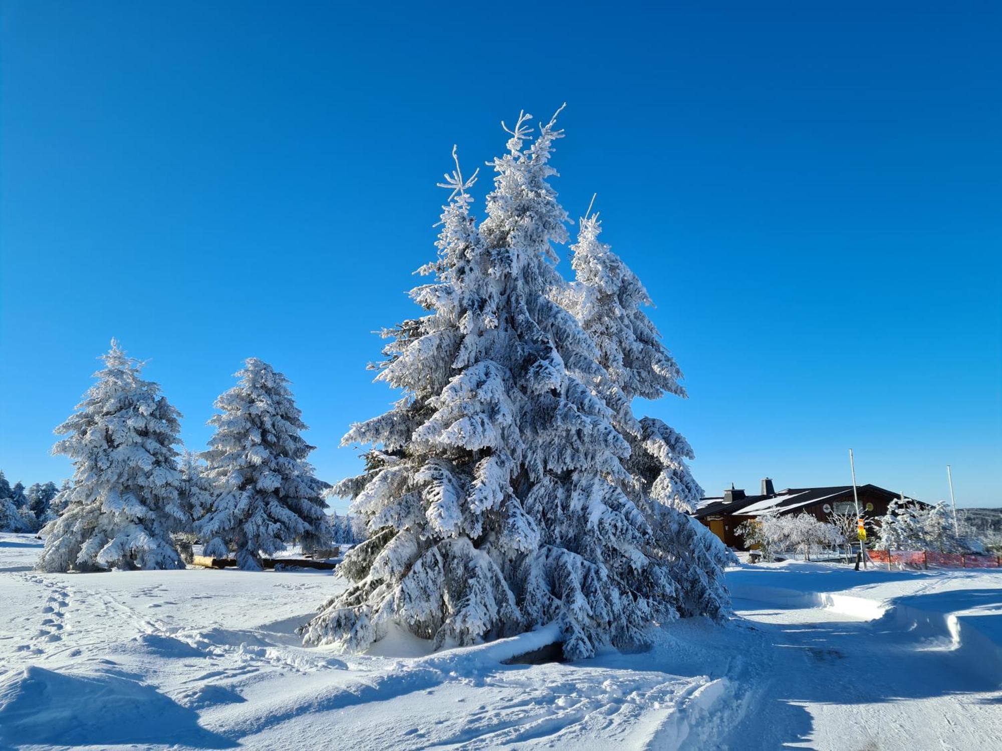 Hotel & Ferienappartements Edelweiss Willingen  Eksteriør bilde