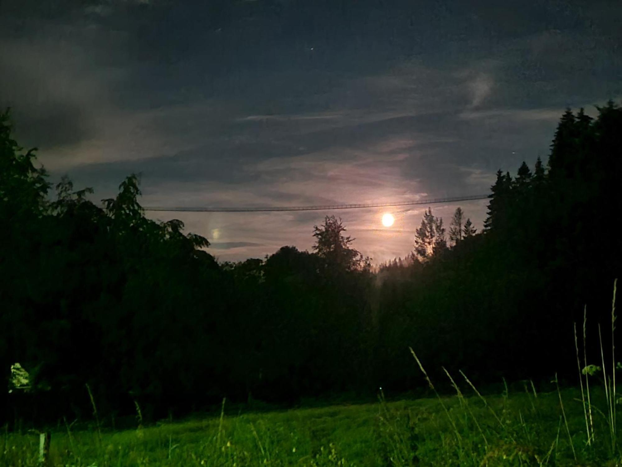 Hotel & Ferienappartements Edelweiss Willingen  Eksteriør bilde